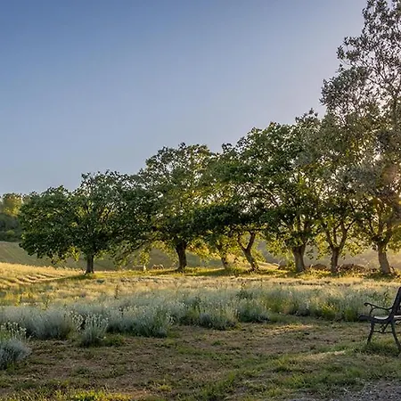Il Poggio Di Teo Farm stay *