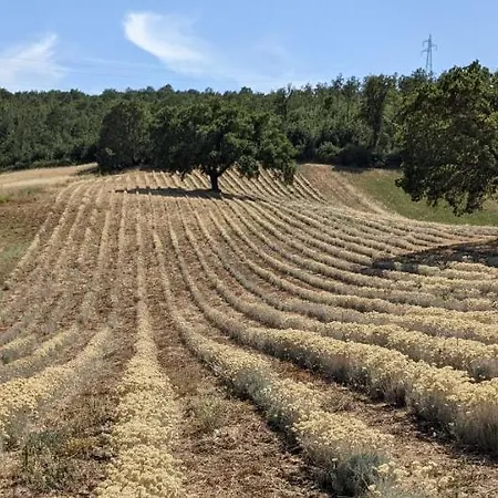 Il Poggio Di Teo *