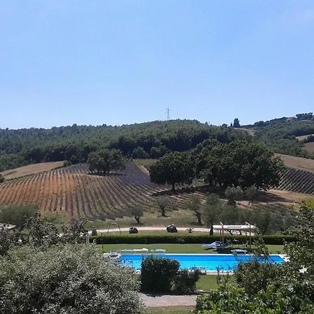 Il Poggio Di Teo