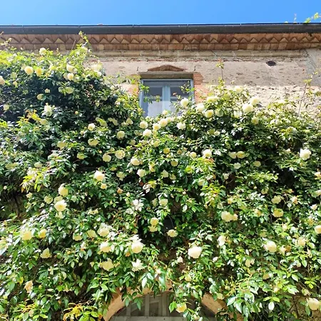 Il Poggio Di Teo Manciano