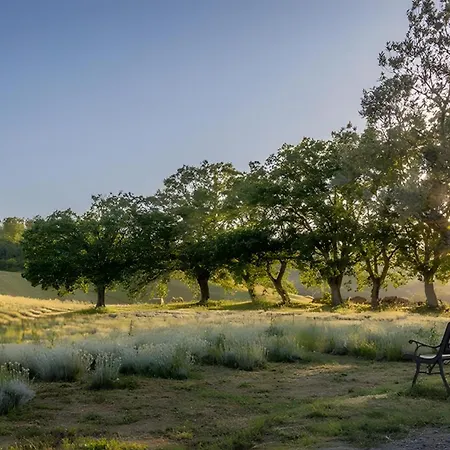 Il Poggio Di Teo Alloggio per agriturismo *