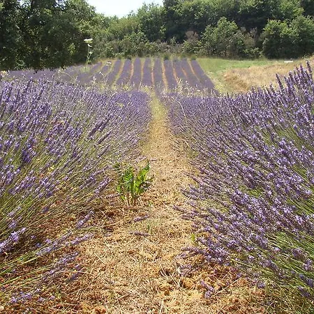 Farm stay Il Poggio Di Teo