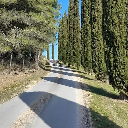 Il Poggio Di Teo